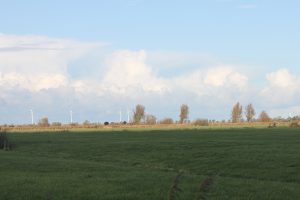 Felder bei Pilsum