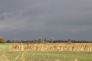 Pilsum im Regen